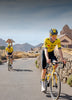 Team Visma | Lease A Bike